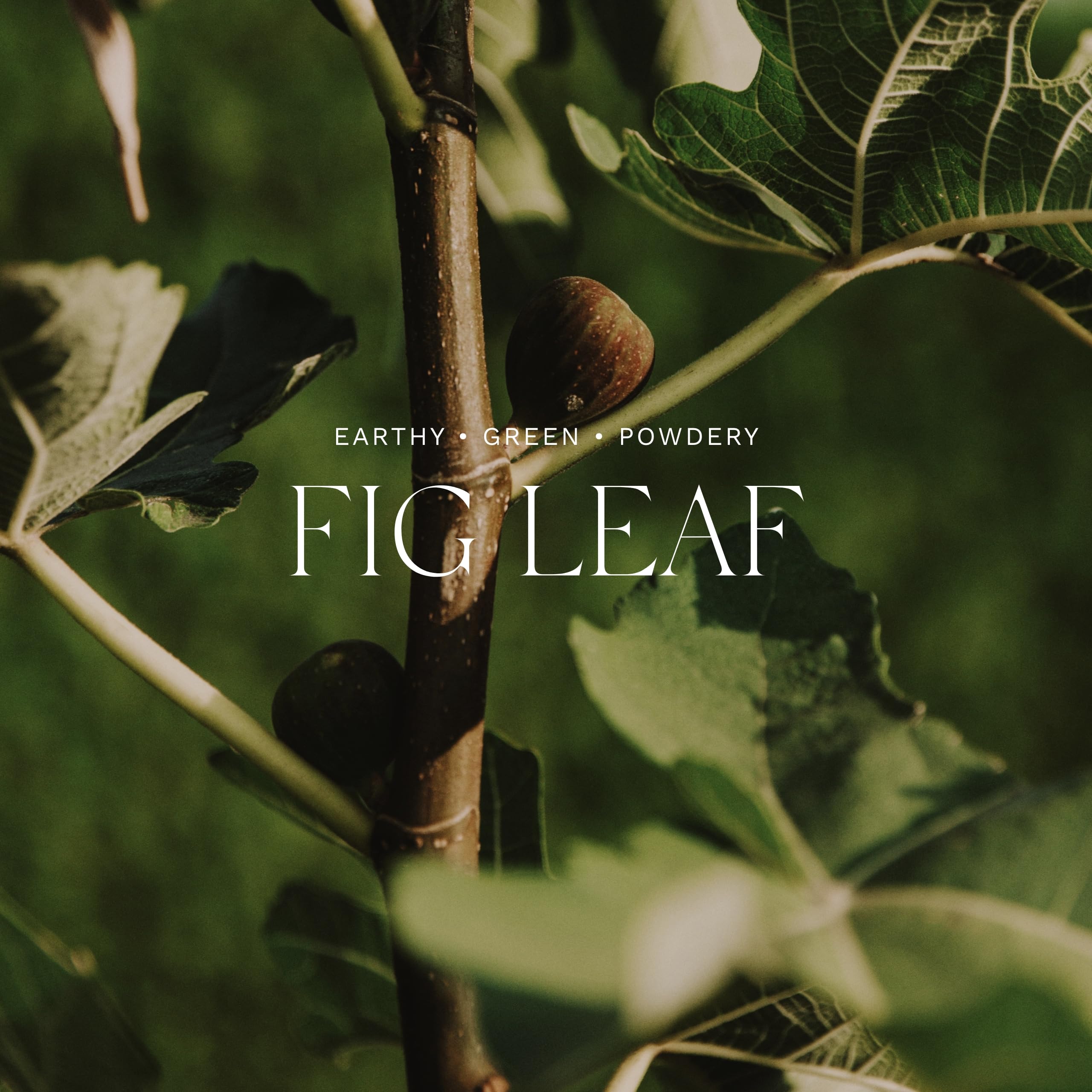 Foto 4 pulgar | Difusor De Ambiente Para El Hogar Antica Farmacista Green Fig, 500 Ml - Venta Internacional.