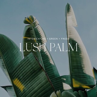 Foto 3 | Difusor De Ambiente Para El Hogar Antica Farmacista Lush Palm, 500 Ml - Venta Internacional.