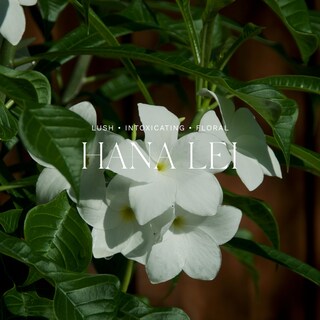Foto 3 | Difusor De Ambiente Home Antica Farmacista Hana Lei 250 Ml - Venta Internacional.