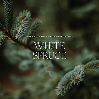 Foto 3 | Difusor Home Ambiance Antica Farmacista White Spruce 250 Ml - Venta Internacional.