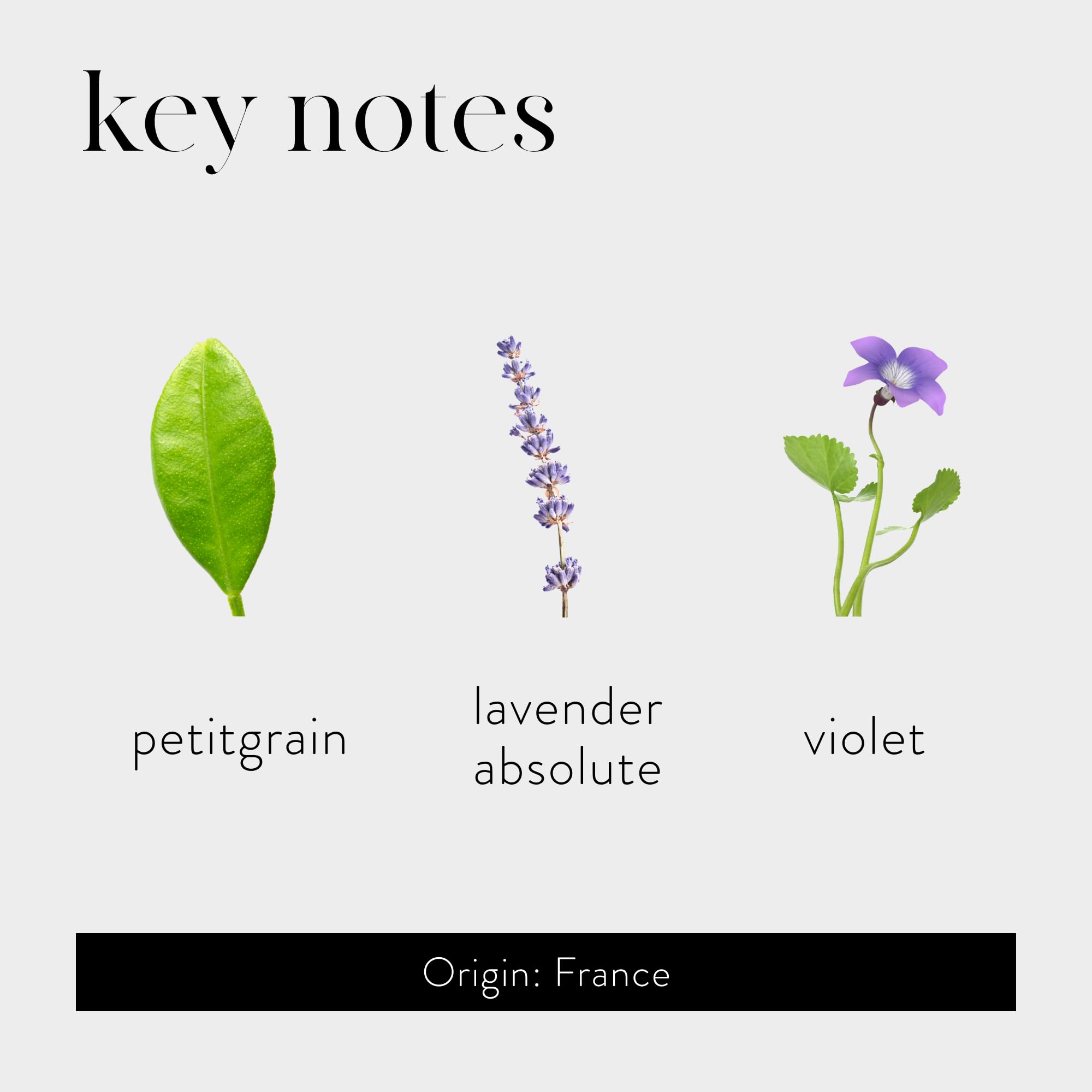 Foto 4 pulgar | Difusor Reed Lafco New York Absolute Lavender Flower, 450 Ml - Venta Internacional.