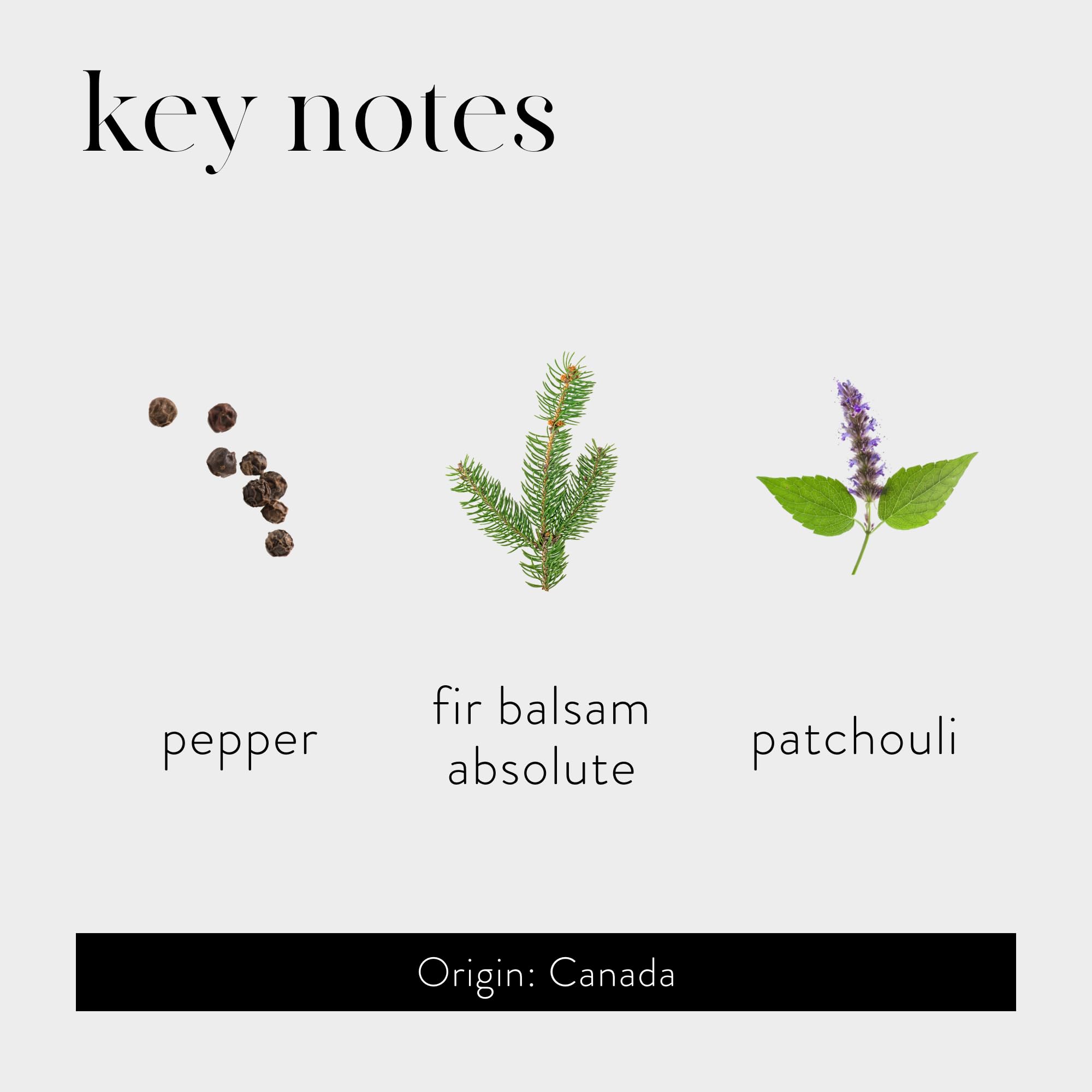 Foto 4 pulgar | Reed Diffuser Lafco New York Absolute Balsam Black Pepper, 450 Ml - Venta Internacional.