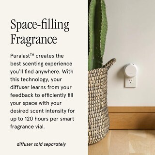 Foto 3 | Difusor De Aire Pura Smart Home Con Fragancia De Madreselva, Paquete De 2 - Venta Internacional.