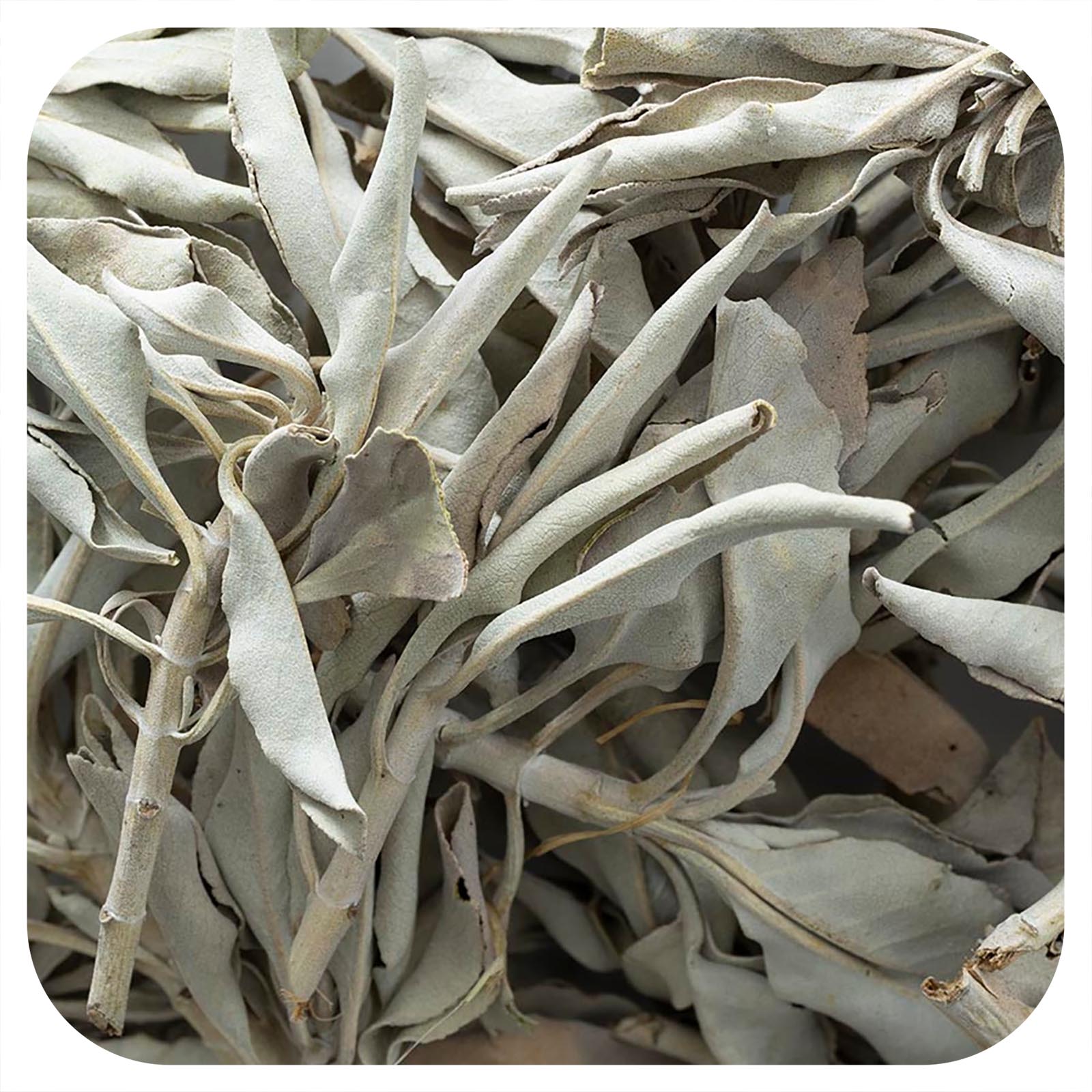 Foto 2 pulgar | Incienso Frontier Co-op Con Salvia Blanca Entera 226 G - Venta Internacional.