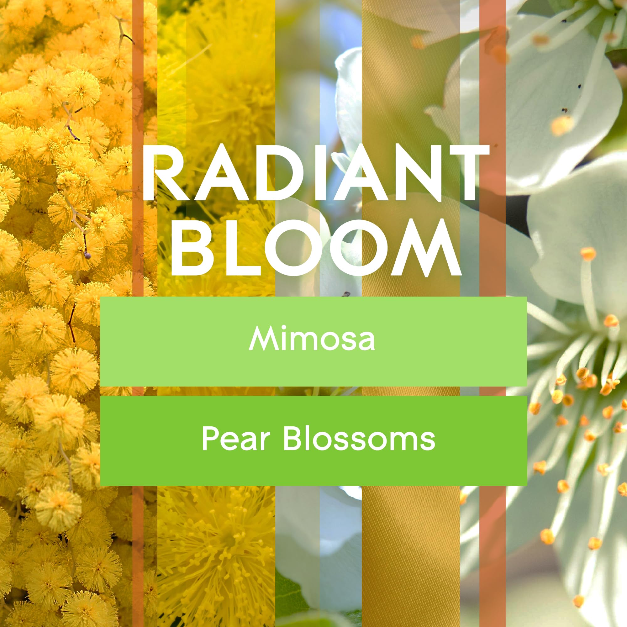 Foto 2 | Ambientador Glade Plugins  Aceite Aromático Radiant Bloom  100 Ml - Venta Internacional.