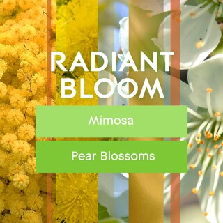 Foto 2 | Ambientador Glade Plugins Aceite Aromático Radiant Bloom 100 Ml - Venta Internacional.