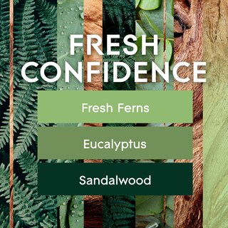 Foto 2 | Recambios Para Ambientador Glade Plugins Fresh Confidence 20 Ml X 5 - Venta Internacional.
