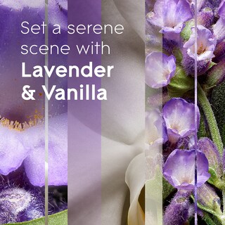 Foto 4 | Recambio Para Ambientador Glade Plugins Lavanda Y Vainilla 200 Ml - Venta Internacional.