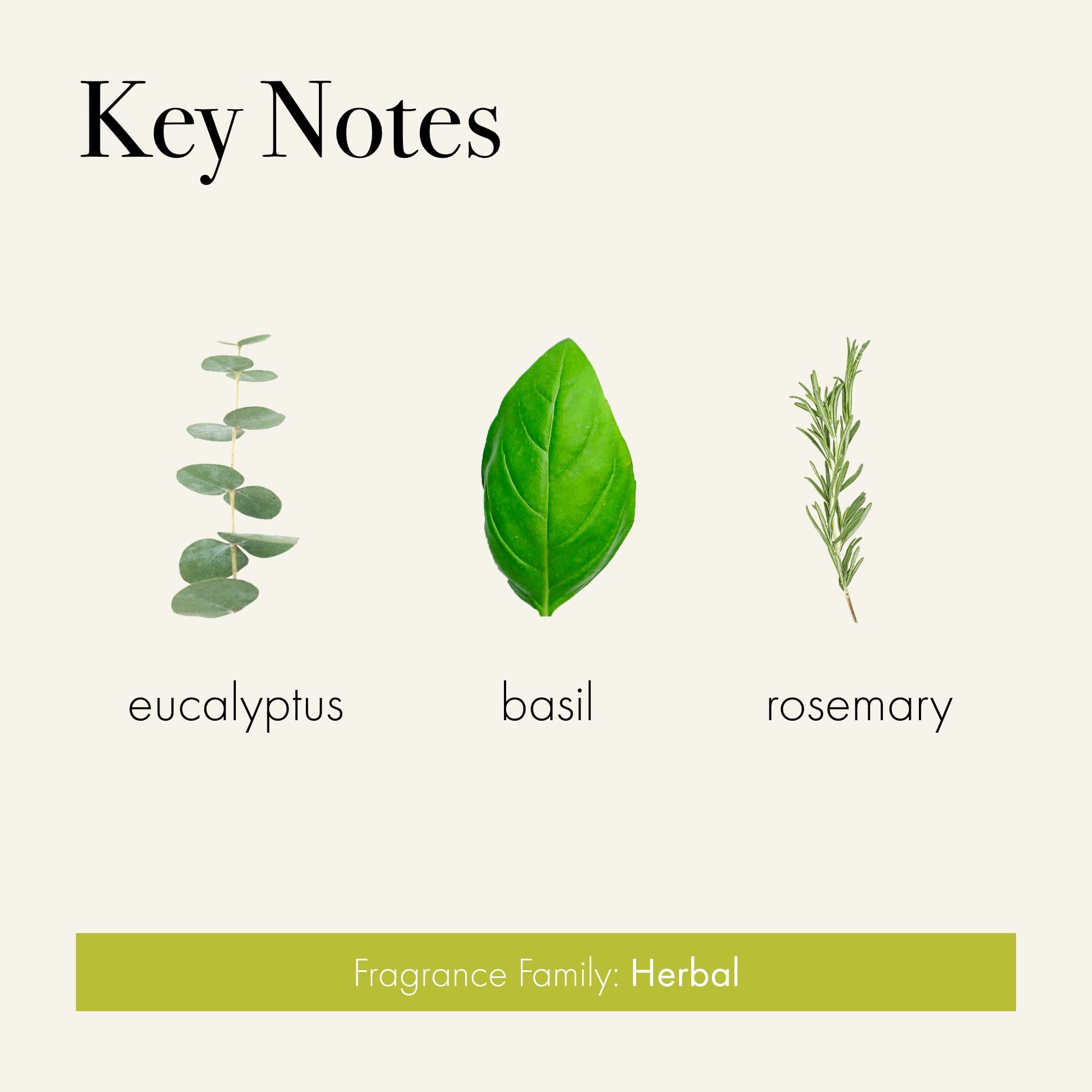 Foto 3 | Difusor Reed Lafco New York Signature Rosemary Eucalyptus  450 Ml - Venta Internacional.
