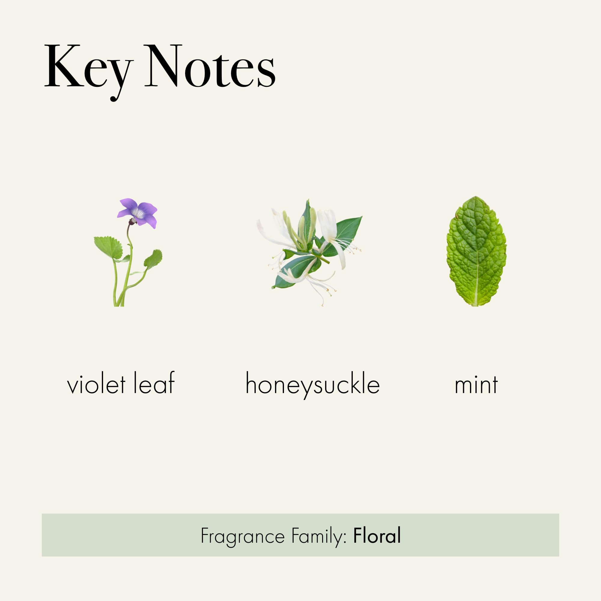 Foto 3 | Difusor Reed Lafco New York Wild Honeysuckle 180 Ml - Venta Internacional.