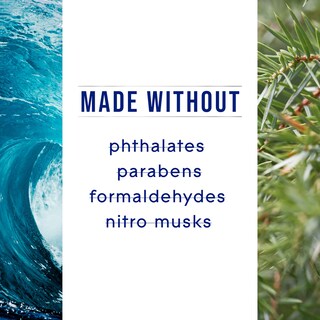 Foto 6 | Recambios Para Ambientador Glade Plugins Sea Mist & Cypress 20 Ml X 5 - Venta Internacional.