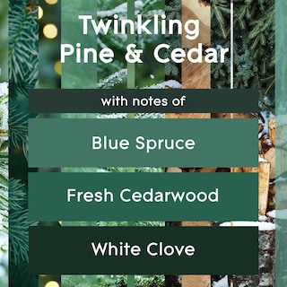 Foto 2 | Recambios Glade Plugins Para Ambientador Twinkling Pine & Cedar - Venta Internacional.
