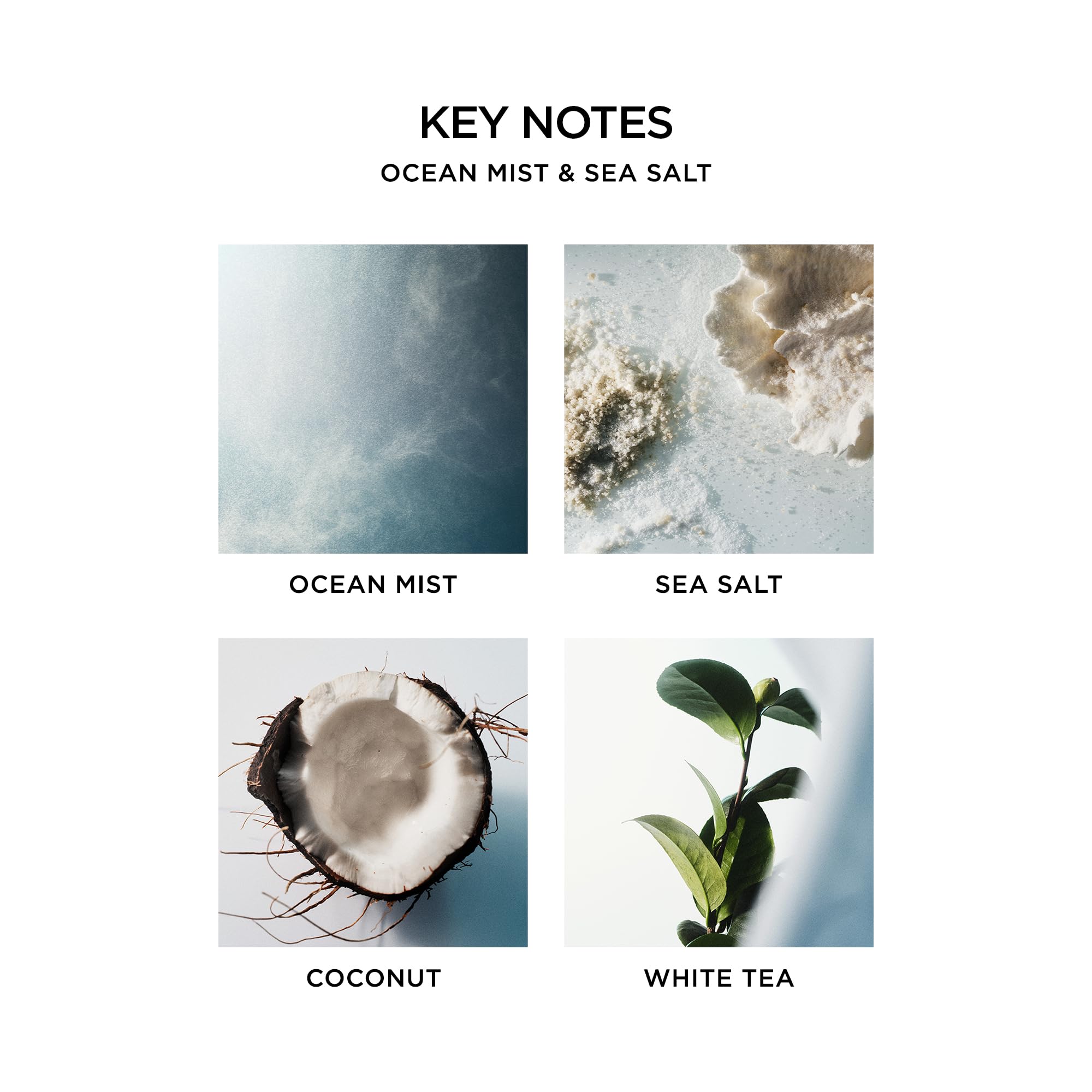 Foto 5 pulgar | Paquete De Difusores Reed Nest New York Ocean Mist & Sea Salt - Venta Internacional.