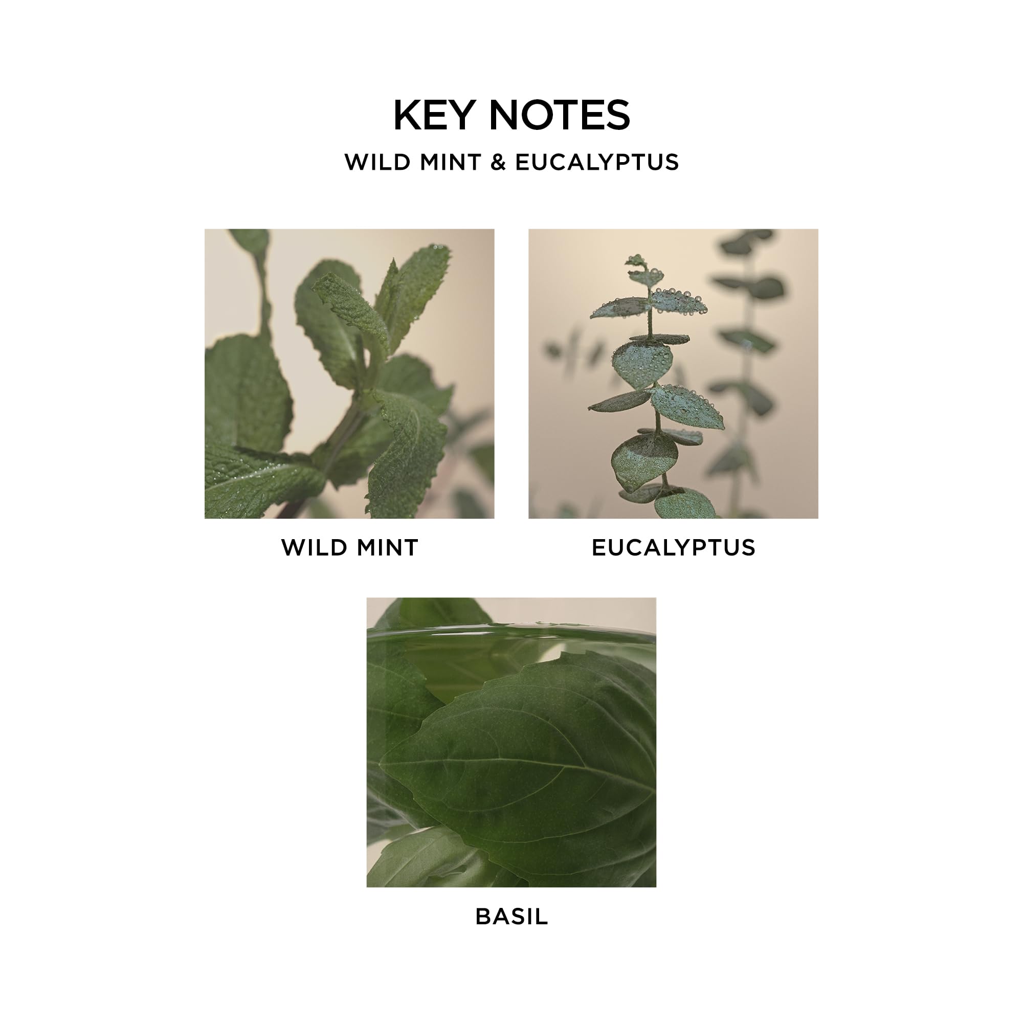 Foto 4 pulgar | Frascos De Recarga Para Difusor De Pared Nest New York Wild Mint & Eucalyptus - Venta Internacional.