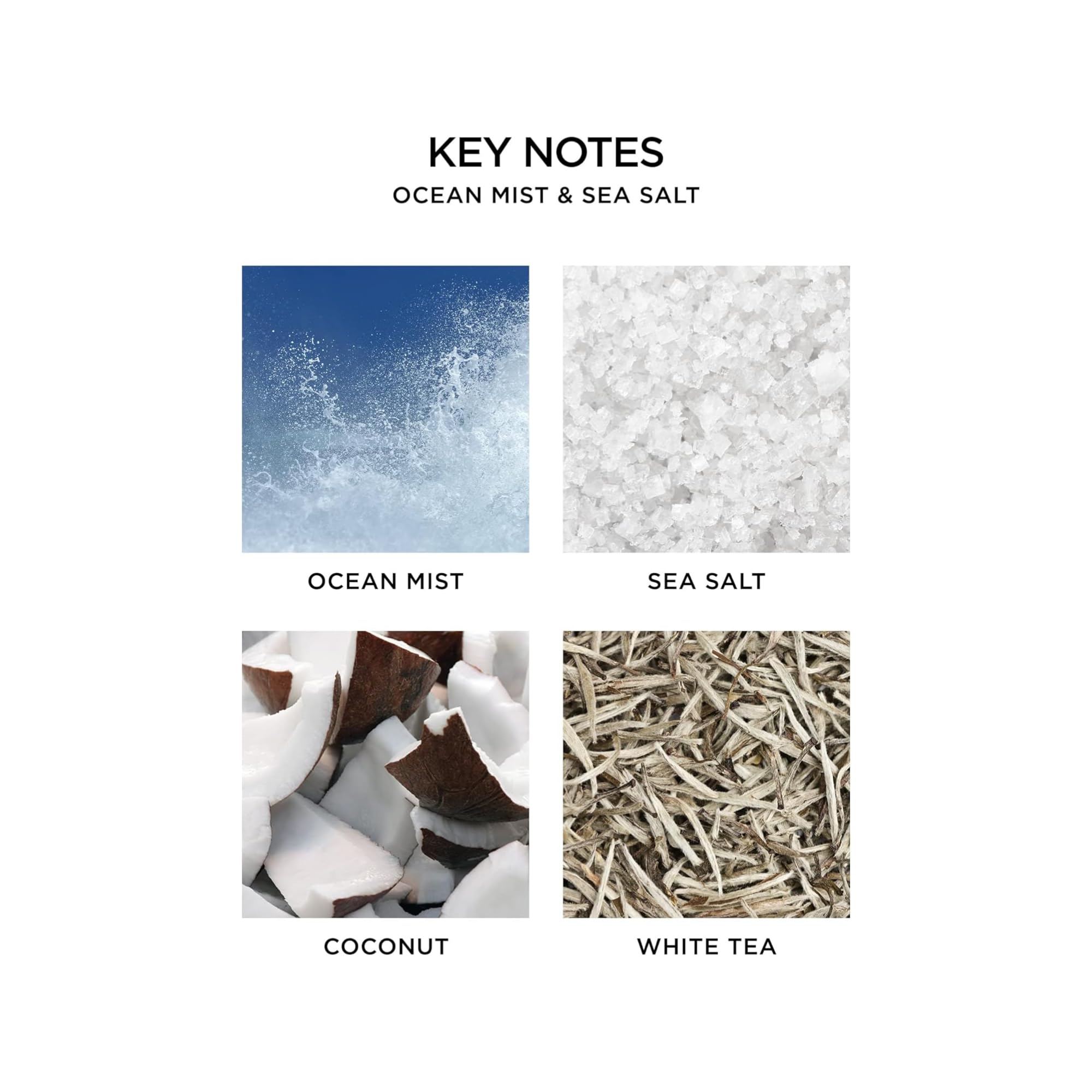 Foto 4 pulgar | Recarga Para Difusor De Fragancias Nest New York Ocean Mist & Sea Salt - Venta Internacional.