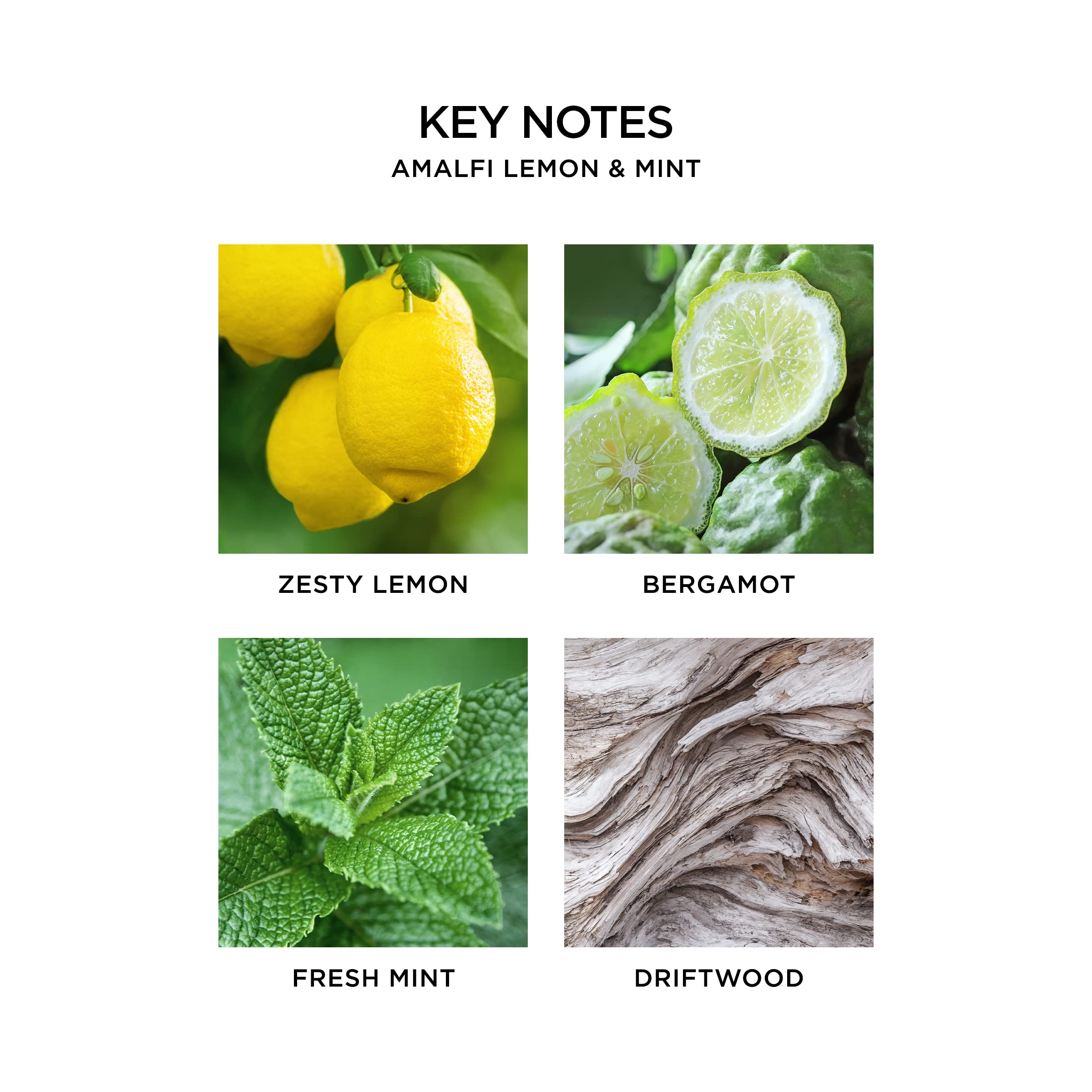 Foto 4 pulgar | Recarga Líquida Reed Difusor Nest New York Amalfi Lemon & Mint - Venta Internacional.