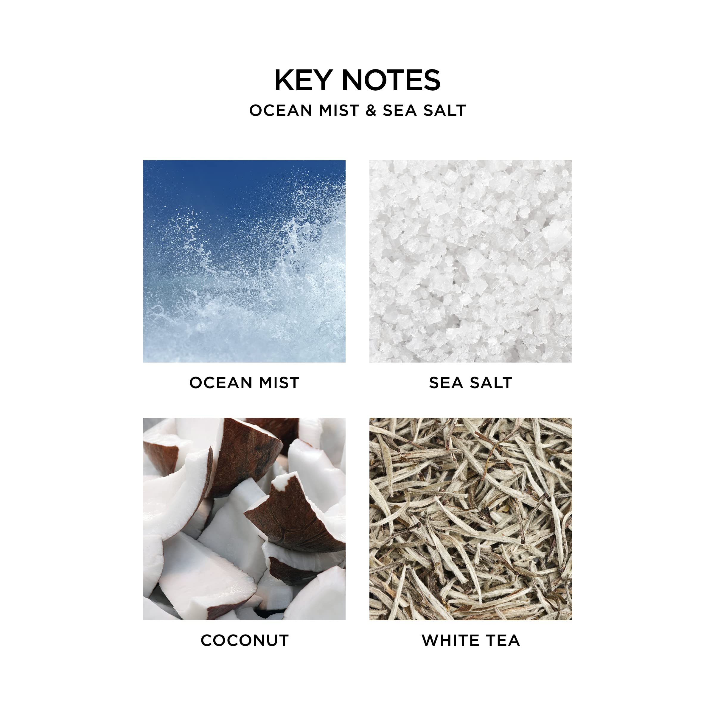 Foto 4 pulgar | Frascos De Recarga Para Difusor De Pared Nest New York Ocean Mist & Sea Salt - Venta Internacional.