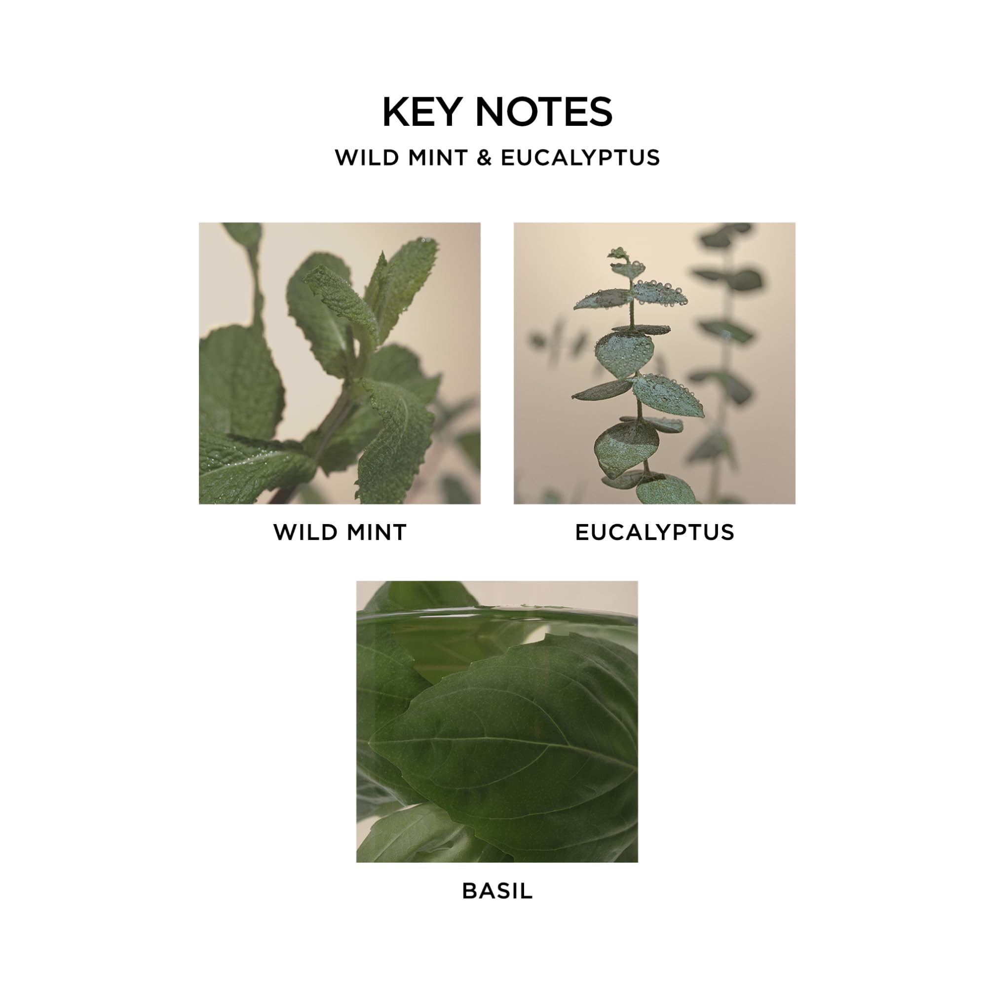 Foto 5 pulgar | Paquete Difusor Reed Nest New York Wild Mint & Eucalyptus - Venta Internacional.