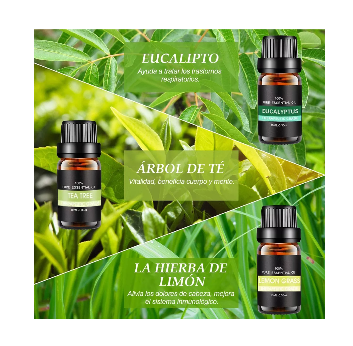 Foto 4 pulgar | Kit De 12 Aceites Esenciales Aromaterapia 100% Puro 10ml Spa