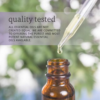 Foto 6 | Mezcla De Vainilla Essential Oil Now, Vainilla Pura En Jojoba, 30 Ml - Venta Internacional.