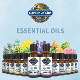 Foto 7 | Aceite Esencial Garden Of Life Peppermint 15 Ml 100% Orgánico - Venta Internacional.