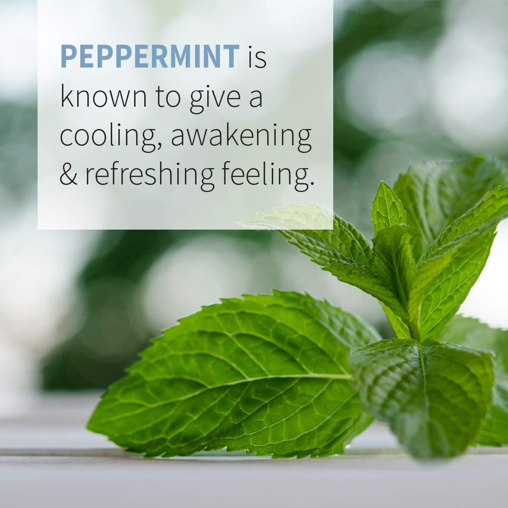 Foto 5 pulgar | Aceite Esencial Garden Of Life Peppermint 30 Ml Usda Organic - Venta Internacional.