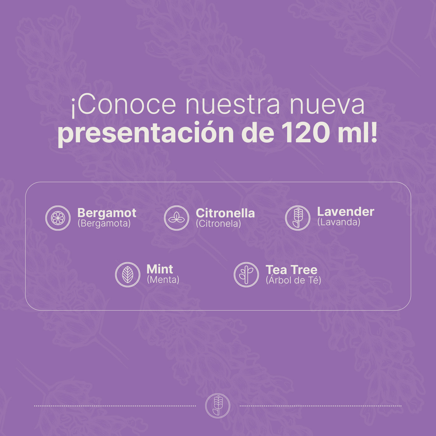 Foto 5 | Aceite Esencial | Ingredientes Puros Y Naturales, Aromalogía De 120 Ml. Aceite Esencial Lavanda (lavender), B Life.