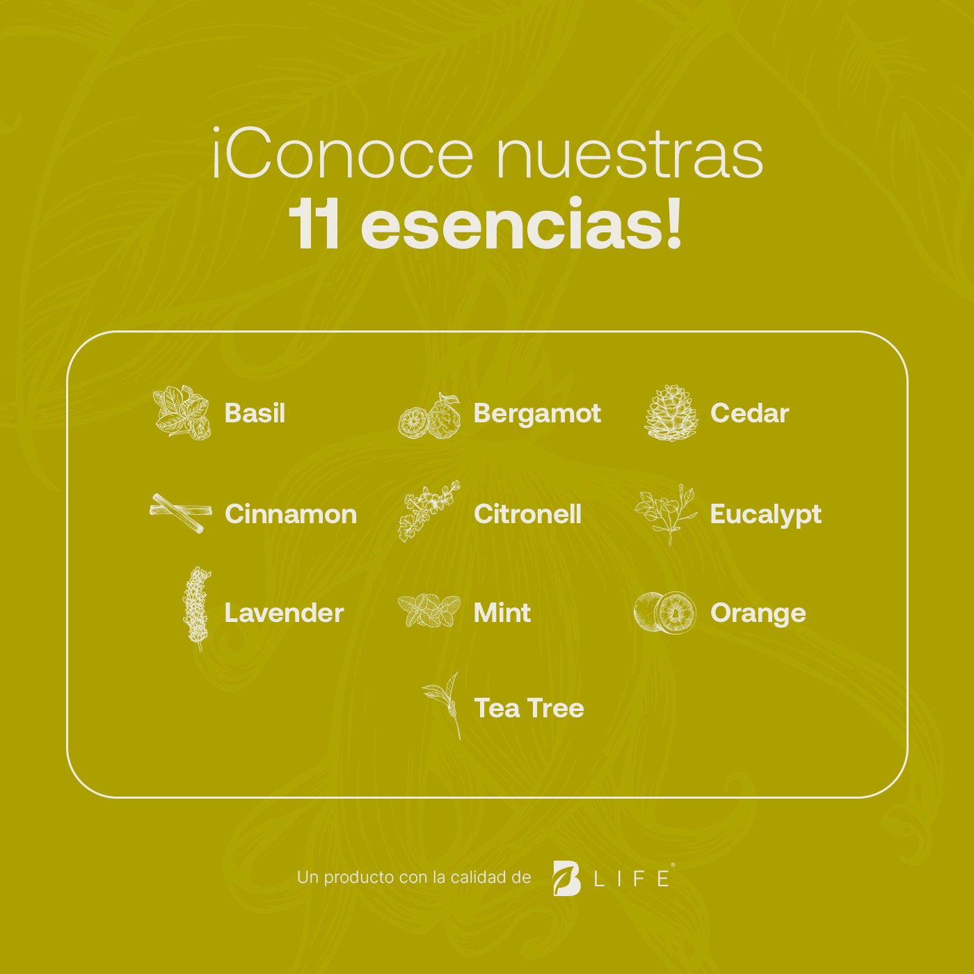 Foto 6 pulgar | Aceite Esencial |  Ingredientes Puros Y Naturales, Aromalogía De 50 Ml. Aceite Esencial Ylang Ylang B Life