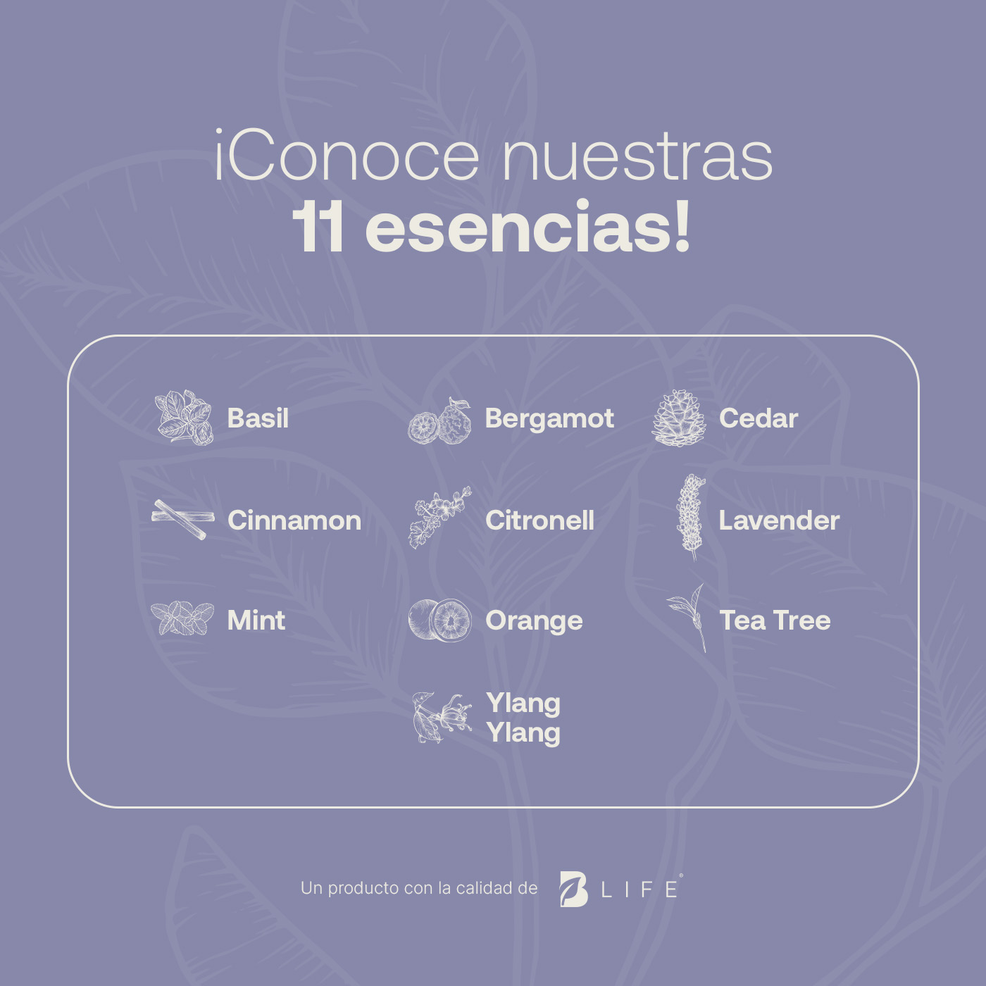 Foto 5 | Aceite Esencial | Ingredientes Puros Y Naturales, Aromalogía De 50 Ml. Aceite Esencial Eucalipto. B Life