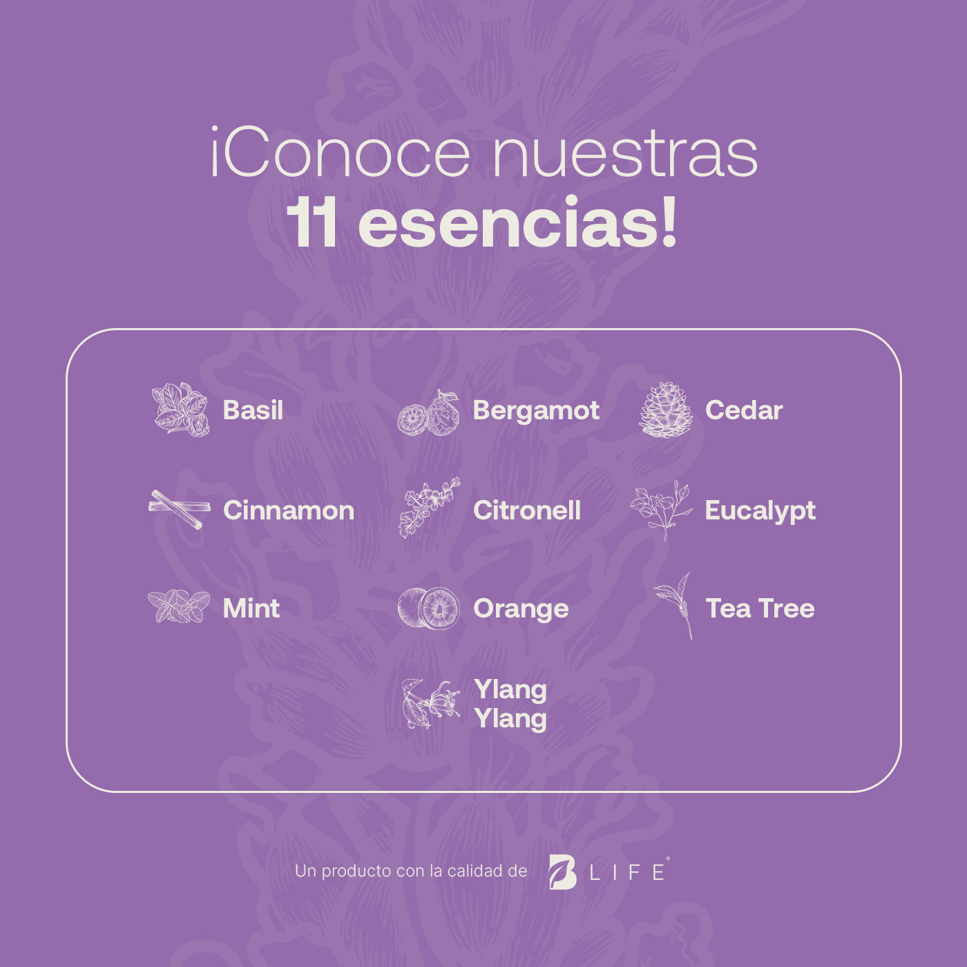 Foto 6 pulgar | Aceite Esencial | Ingredientes Puros Y Naturales, Aromalogía De 50 Ml. Aceite Esencial Lavanda (lavender), B Life.
