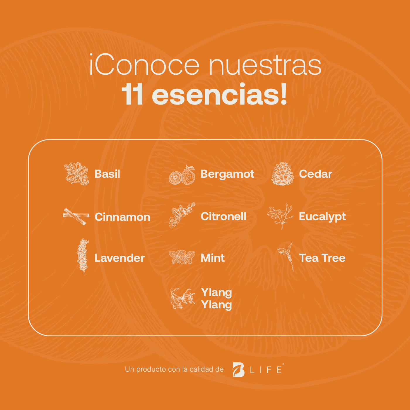 Foto 6 pulgar | Aceite Esencial B Life Orange de 50 ml
