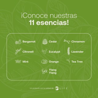 Foto 5 | Aceite Esencial B Life Basil de 50 ml