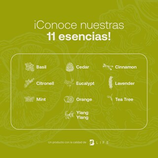 Foto 5 | Aceite Esencial B Life Bergamota de 50 ml