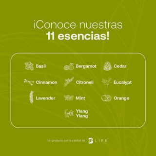 Foto 5 | Aceite Esencial B Life Tea Tree 50 Ml