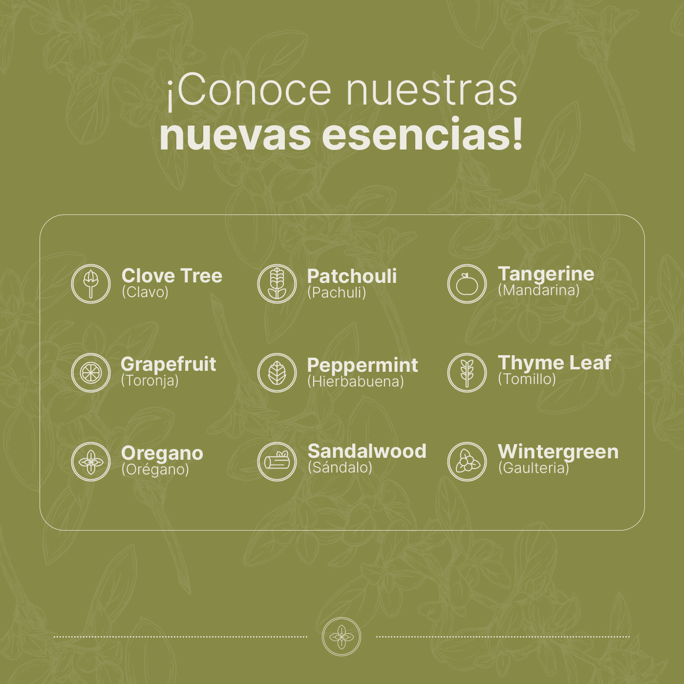 Foto 6 | Aceite Esencial | Ingredientes Puros Y Naturales De 50 Ml. Aceite Esencial Orégano B Life