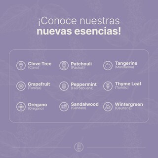 Foto 6 | Aceite Esencial | Ingredientes Puros Y Naturales, Aromalogía De 50 Ml. Aceite Esencial Pachulí (patchouli) B Life