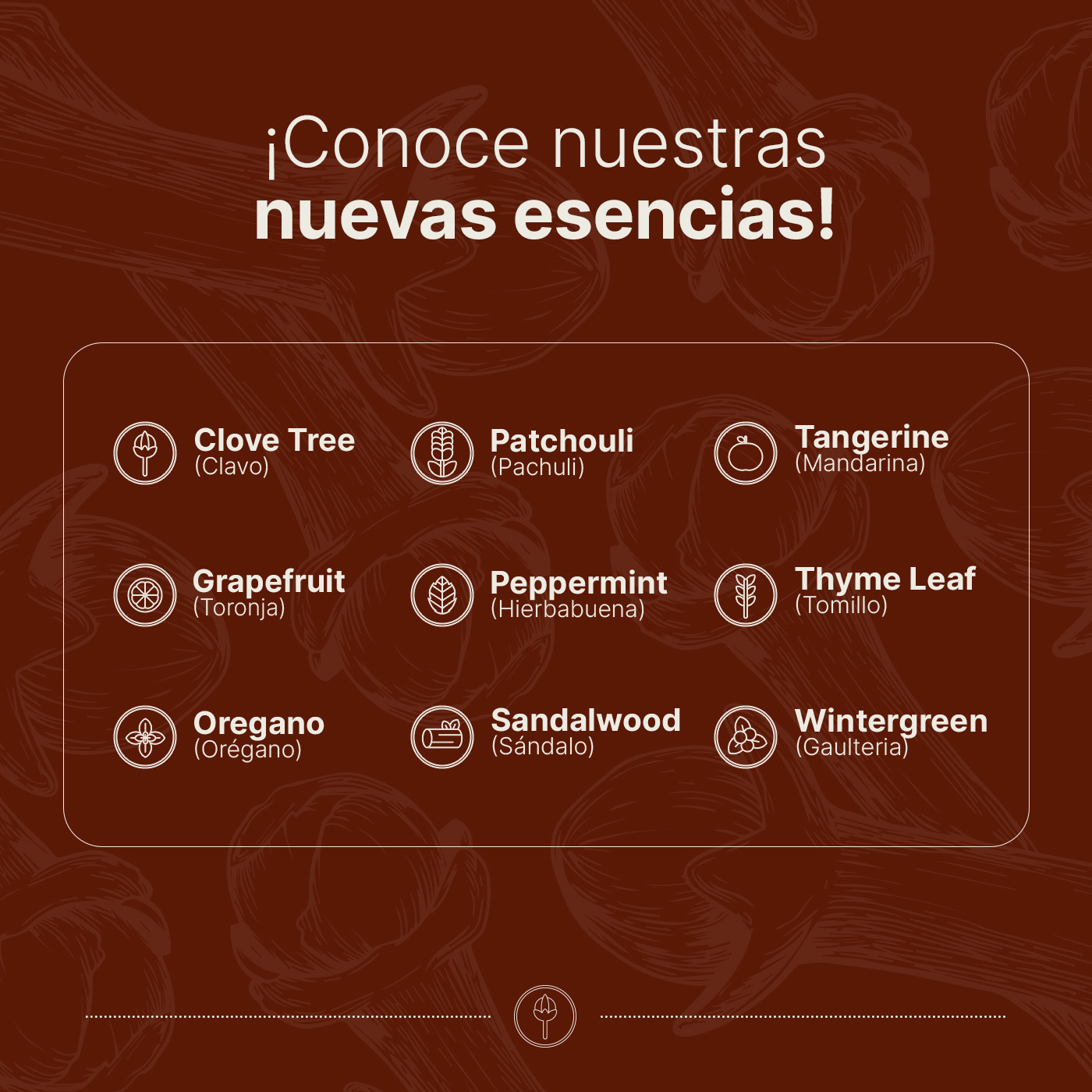 Foto 7 pulgar | Aceite Esencial | Ingredientes Puros Y Naturales De 50 Ml. Aceite Esencial Clavo (clove Tree) B Life.