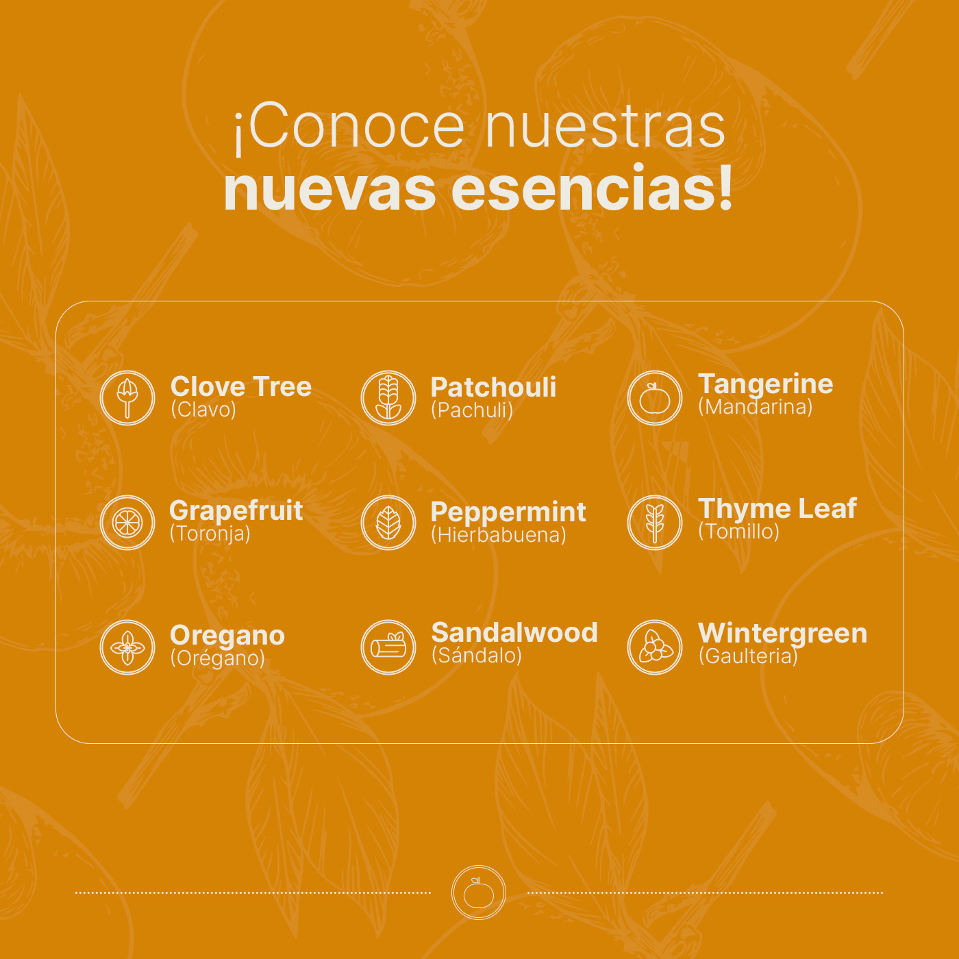 Foto 6 | Aceite Esencial | Ingredientes Puros Y Naturales De 50 Ml. Aceite Esencial Mandarina (tangerine) B Life.