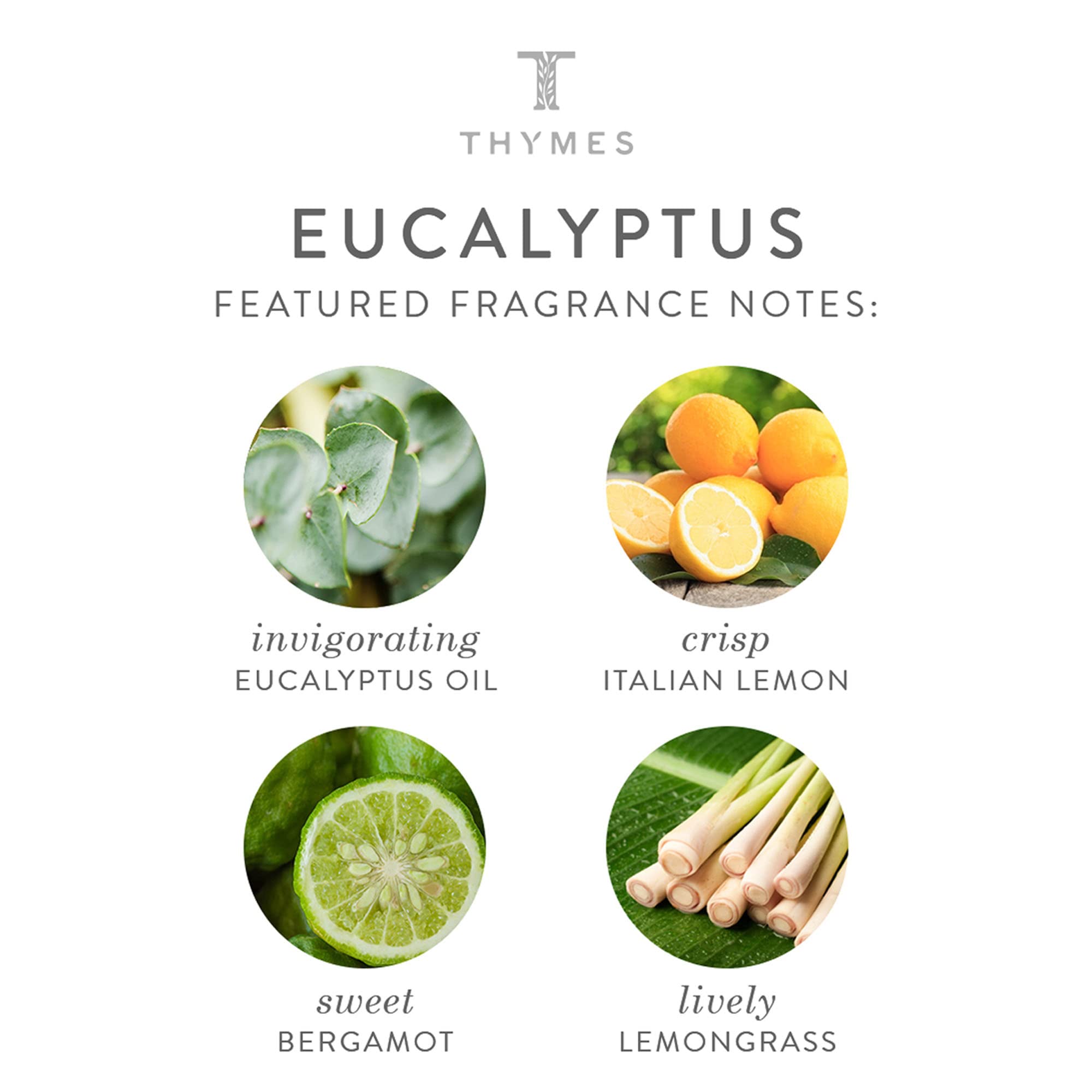 Foto 4 pulgar | Travel Set Thymes Eucalyptus Body Wash Loción Corporal Crema De Manos - Venta Internacional.