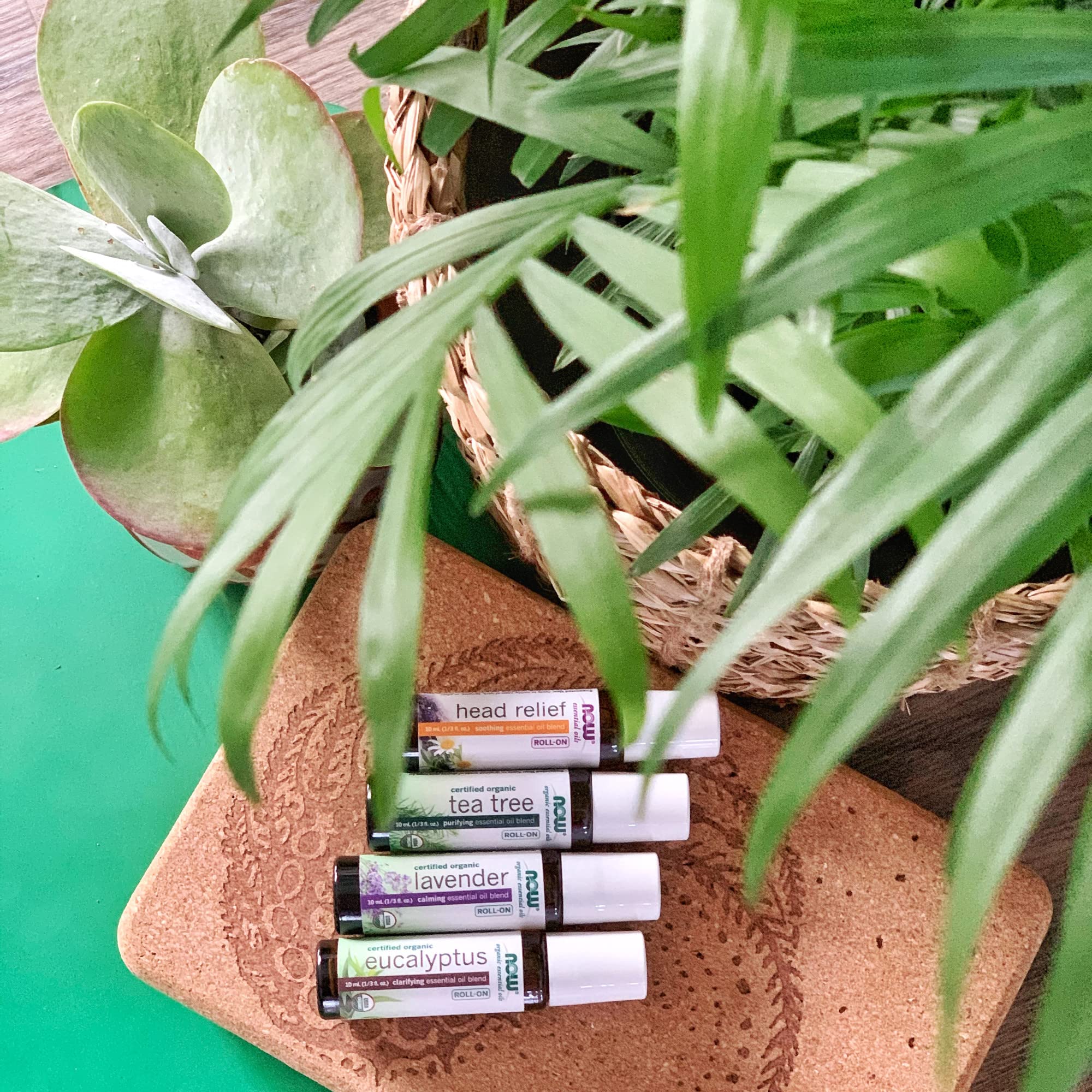 Foto 5 pulgar | Aceite Esencial Roll On Now Foods Seasonal Defense, 10 Ml - Venta Internacional.