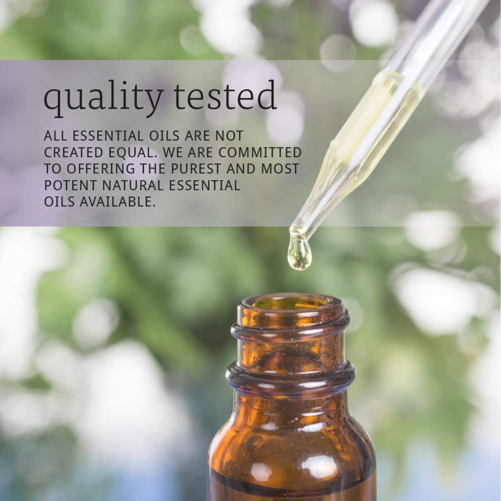 Foto 7 pulgar | Aceite Esencial Now Solutions Eucalipto 473 Ml (1 Unidad) - Venta Internacional.