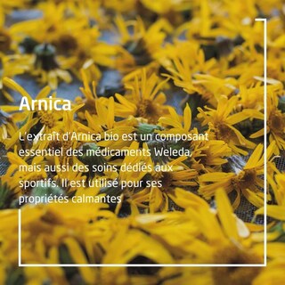 Foto 3 | Aceite De Masaje Weleda Arnica 100ml - Venta Internacional.