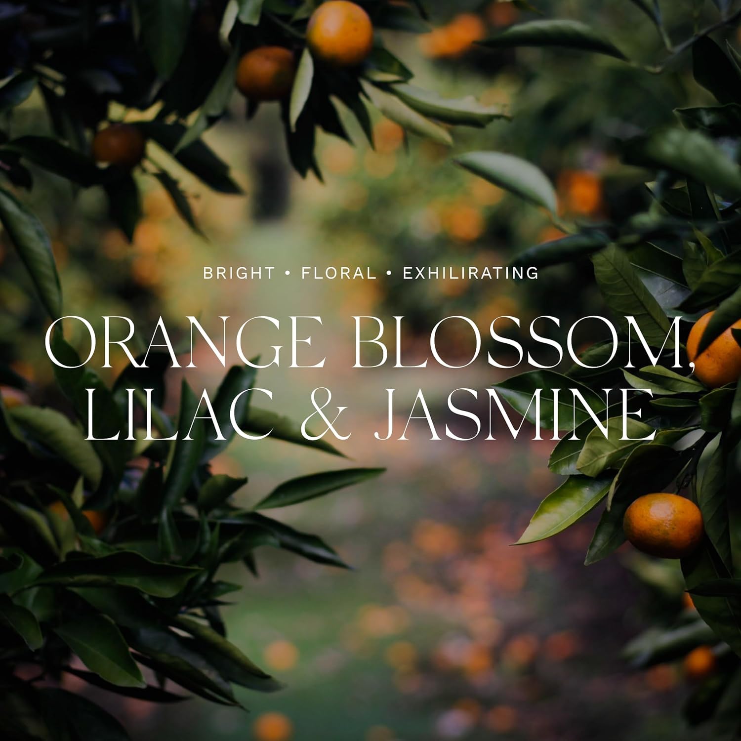 Foto 3 | Set De Regalo Para Baño Y Cuerpo Antica Farmacista Orange Blossom - Venta Internacional.