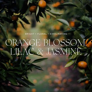 Foto 3 | Set De Regalo Para Baño Y Cuerpo Antica Farmacista Orange Blossom - Venta Internacional.