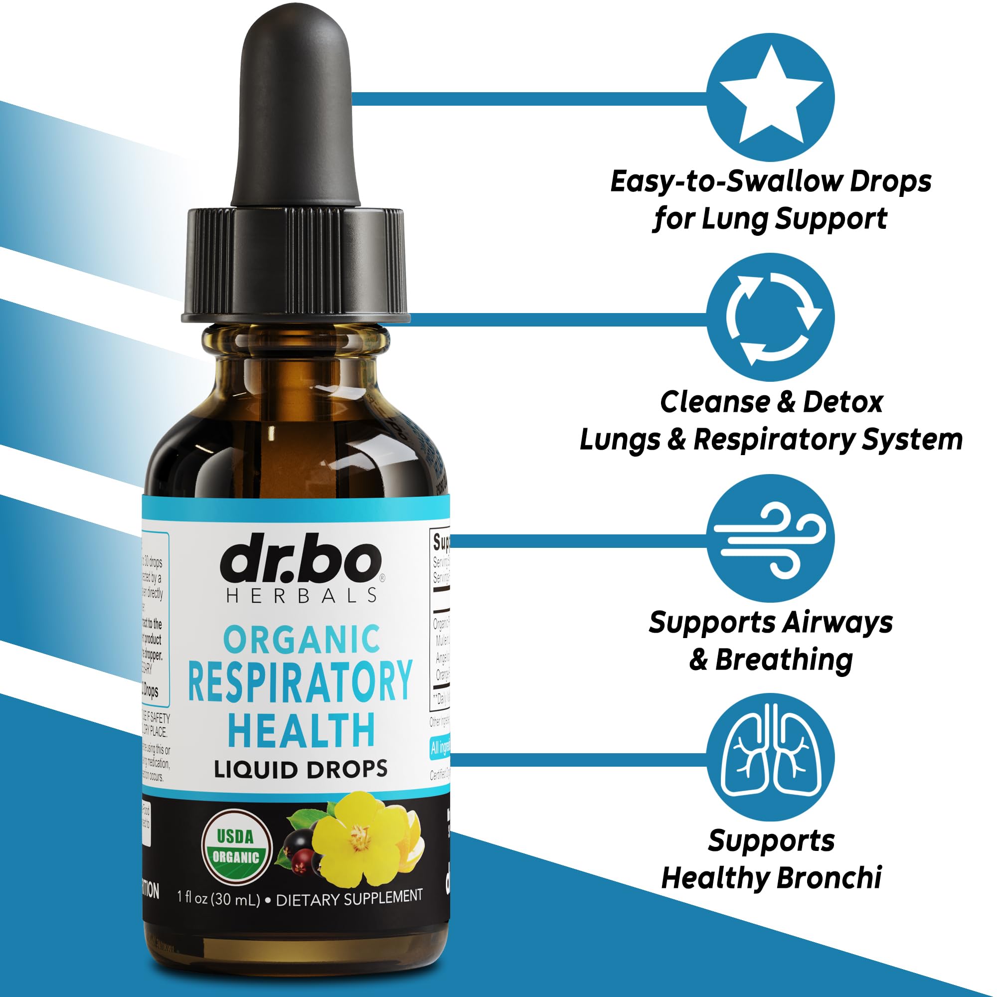 Foto 2 | Gotas Para La Salud Respiratoria Dr. Bo Lung Detox Mullein, 30 Ml - Venta Internacional.