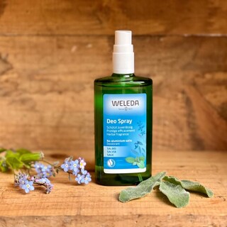 Foto 2 | Desodorante En Aerosol Weleda Sage 12h 100ml - Venta Internacional.