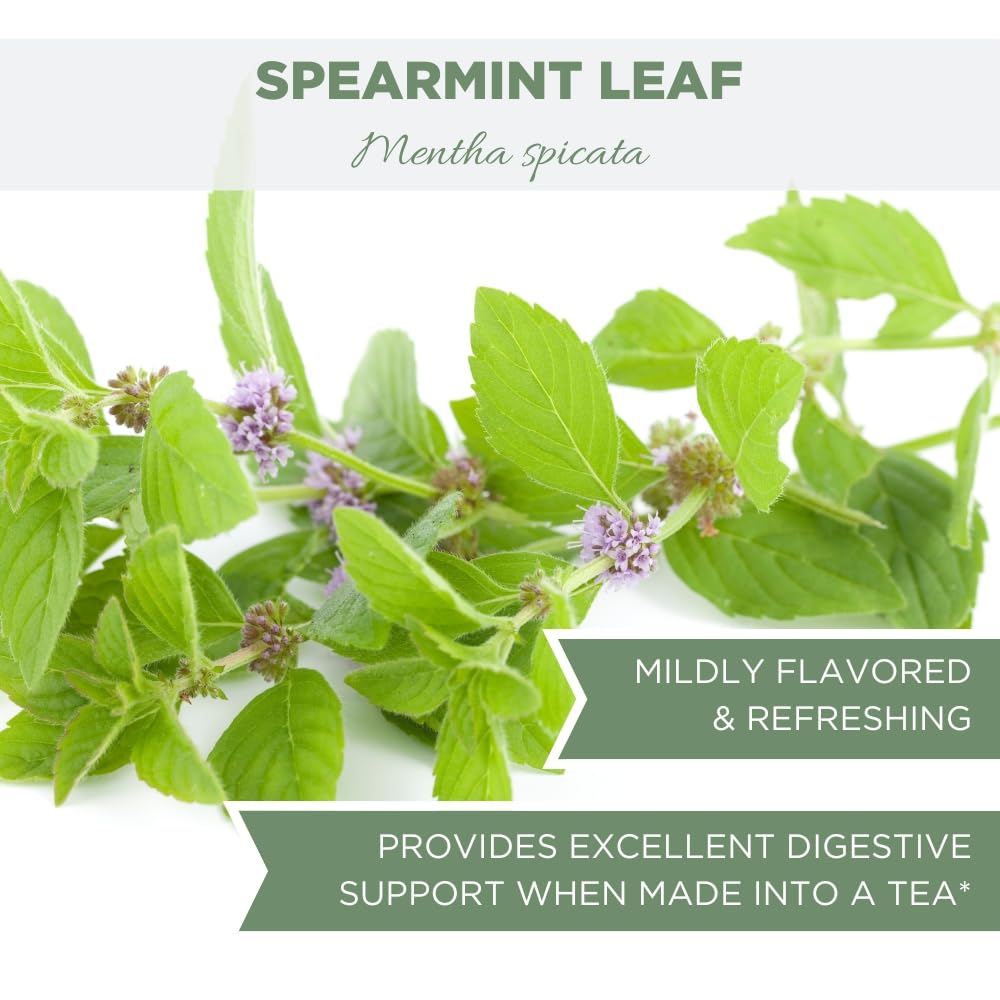 Foto 7 pulgar | Té De Menta Verde Elanen Naturals Orgánico 113 G De Hojas Sueltas - Venta Internacional.