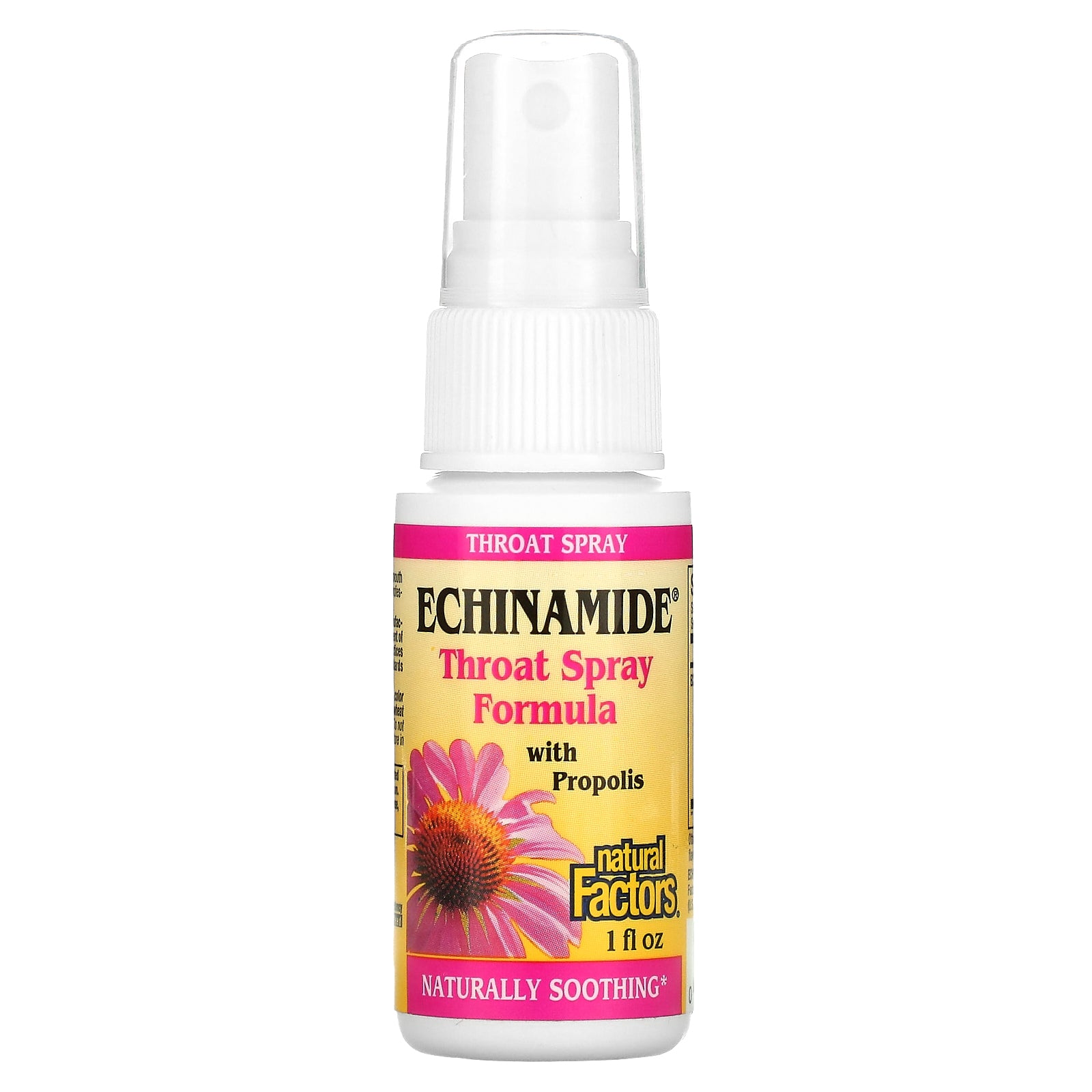 Foto 1 | Spray Para La Garganta Natural Factors Echinamide Con Propóleo, 30 Ml - Venta Internacional.