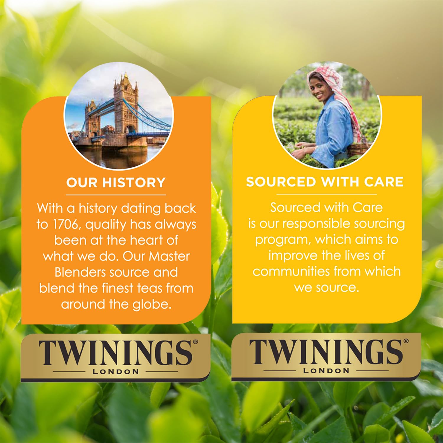 Foto 8 pulgar | Tea Twinings Pure Peppermint, 50 Bolsas, Envueltas Individualmente - Venta Internacional.
