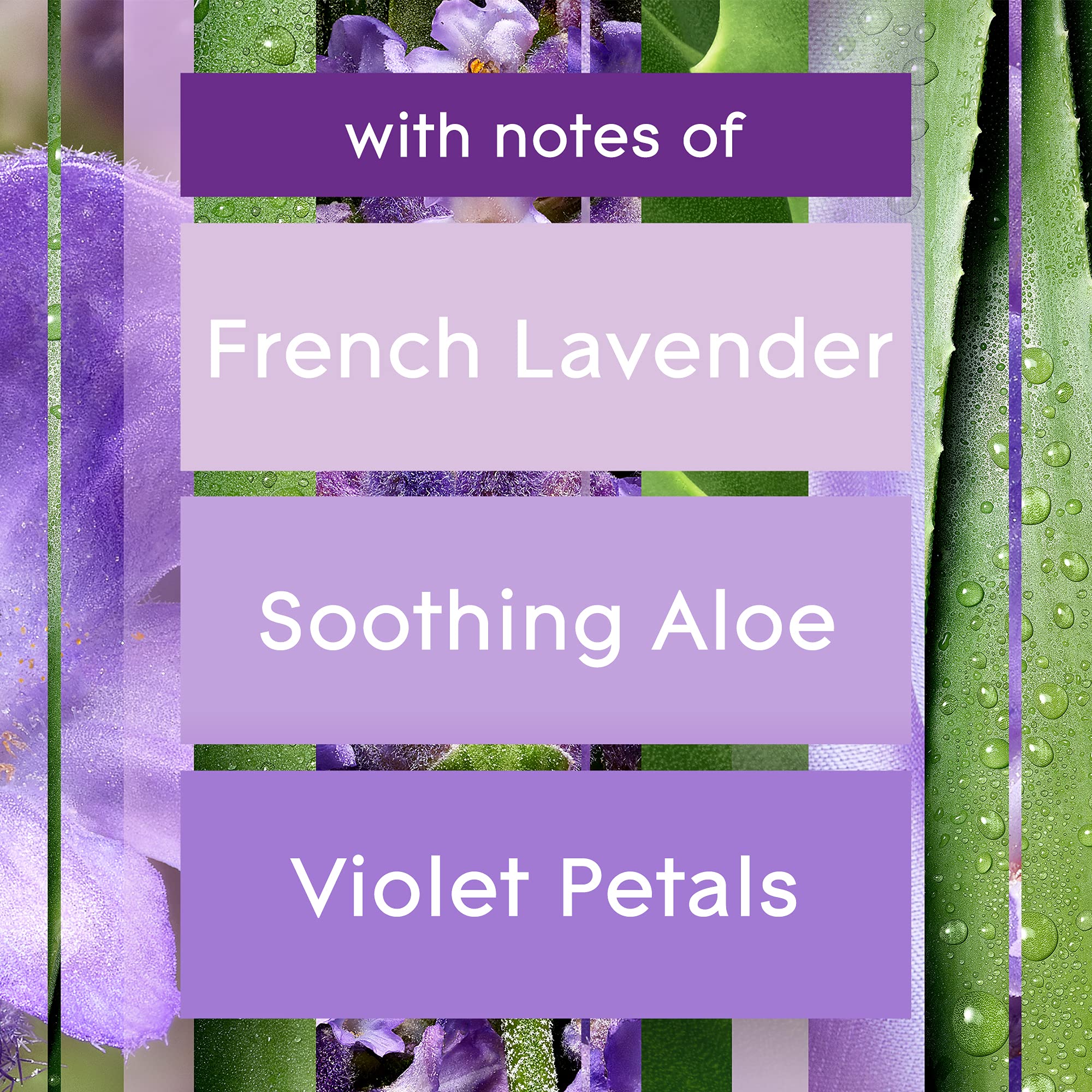 Foto 6 pulgar | Kit De Inicio Para Ambientadores Glade Plugins Tranquil Lavender - Venta Internacional.